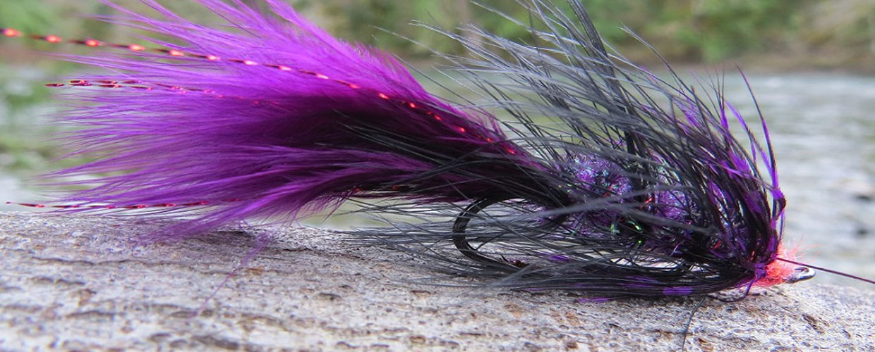 stamp-river-fall-steelhead-purple-leach-fly-header