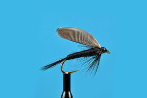 black-gnat-wet-fly