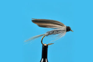 blue-dun-wet-fly