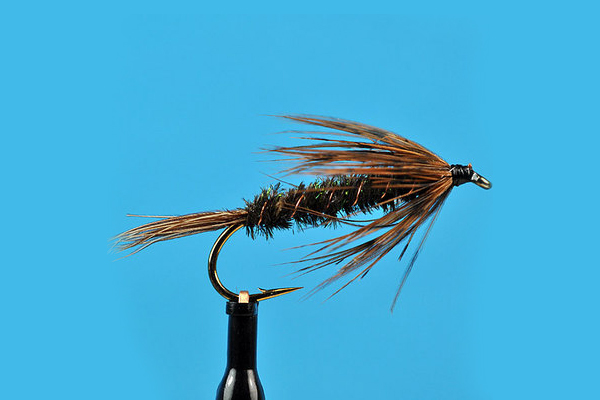 carey-special-wet-fly