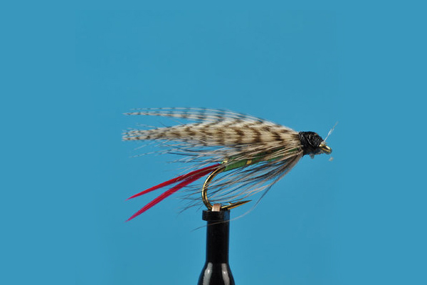 grizzly-king-wet-fly