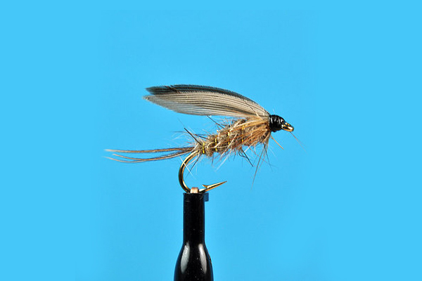 march-brown-wet-fly