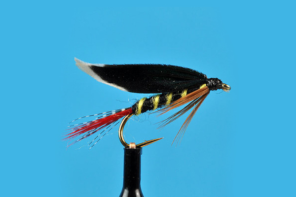 mcginty-wet-fly