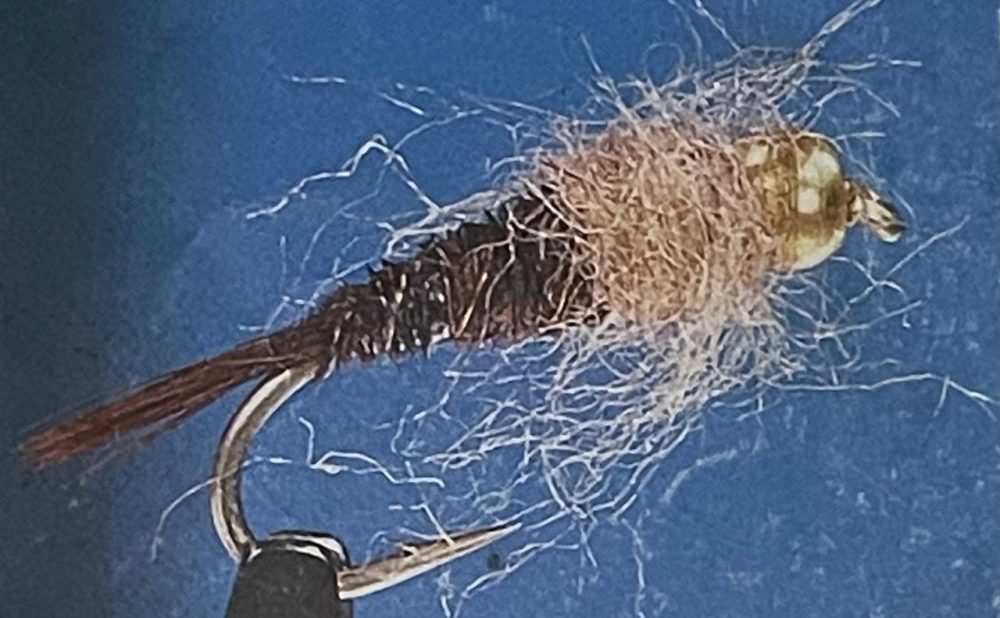 BH pheasant tail