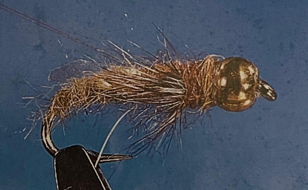 Bead head caddis