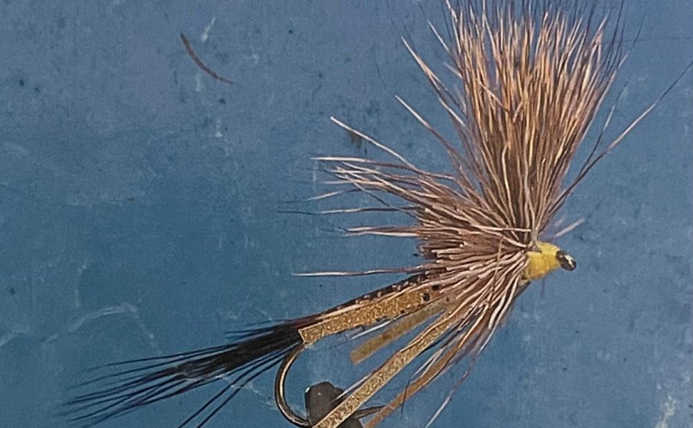 Brown drake
