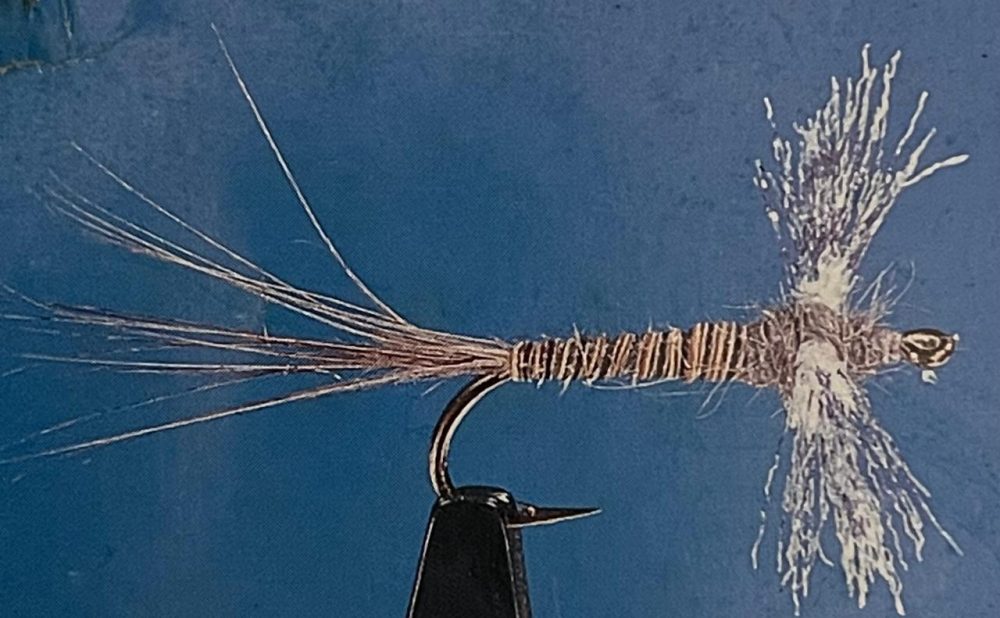 Callibaetis spinner