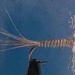 Callibaetis spinner