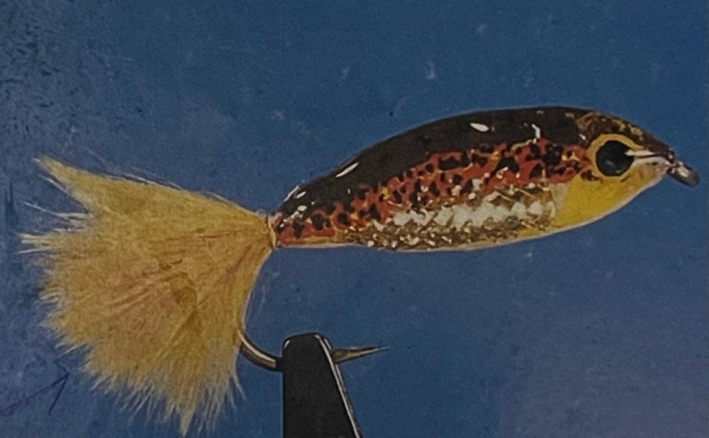 Janssen minnow