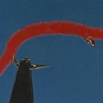 San Juan worm red
